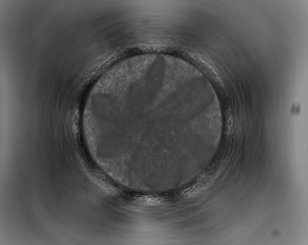 X0000099470498200805301559