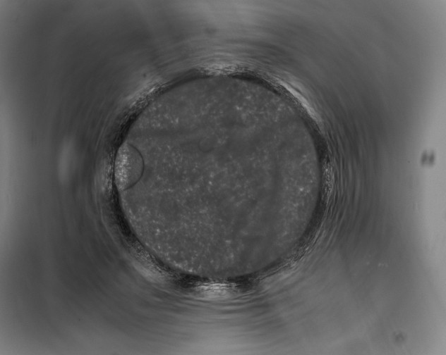 X0000099470499200805301559