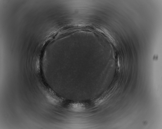 X0000099470500200805301559