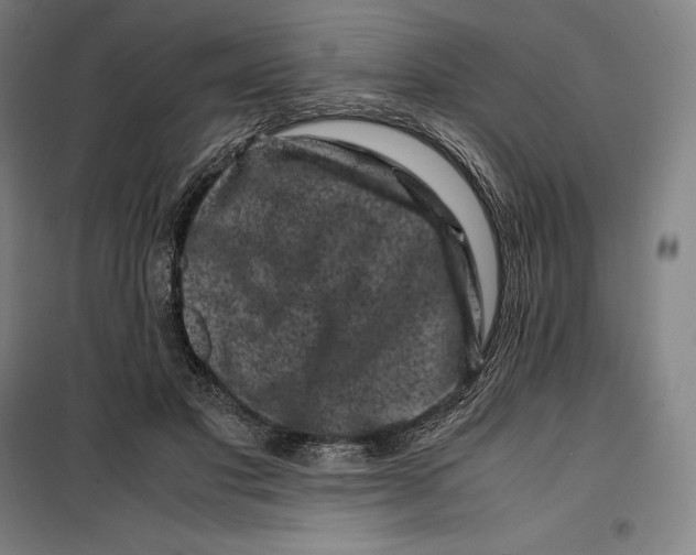 X0000099470501200805301559