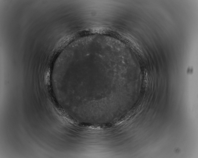 X0000099470502200805301559