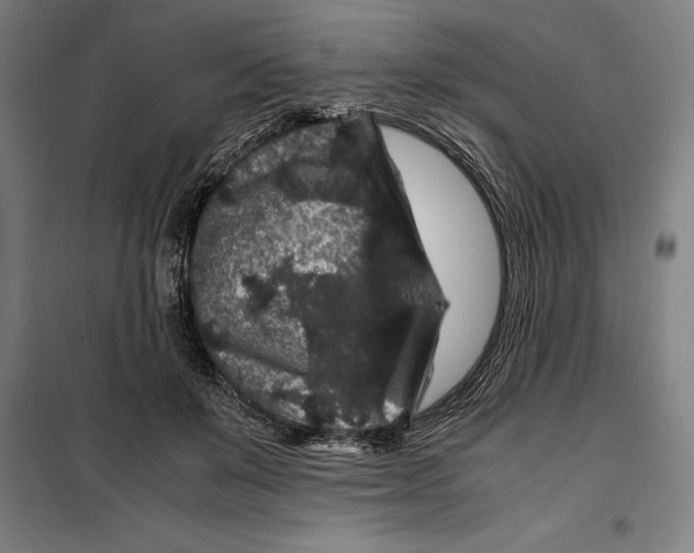 X0000099470503200805301559