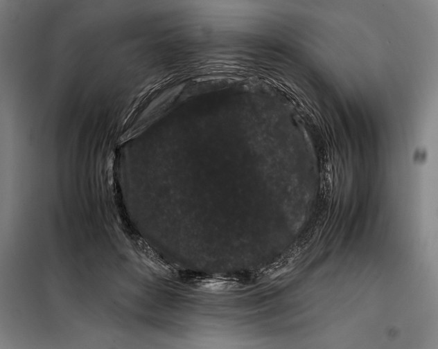 X0000099470504200805301559