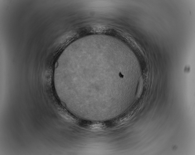 X0000099470505200805301559