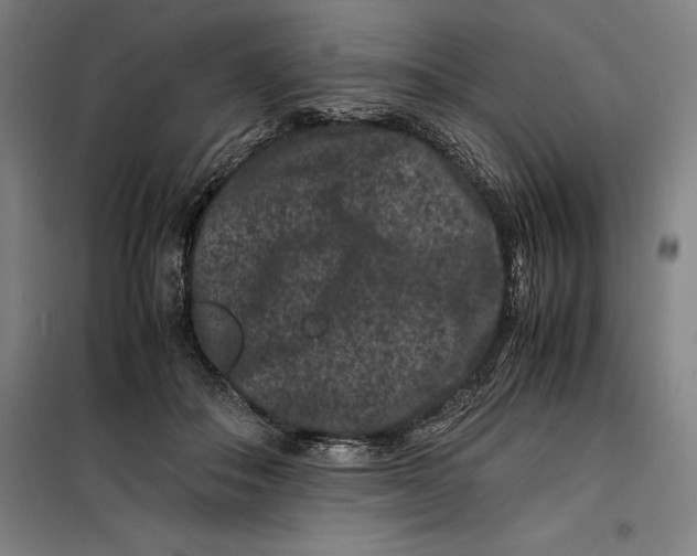 X0000099470506200805301559