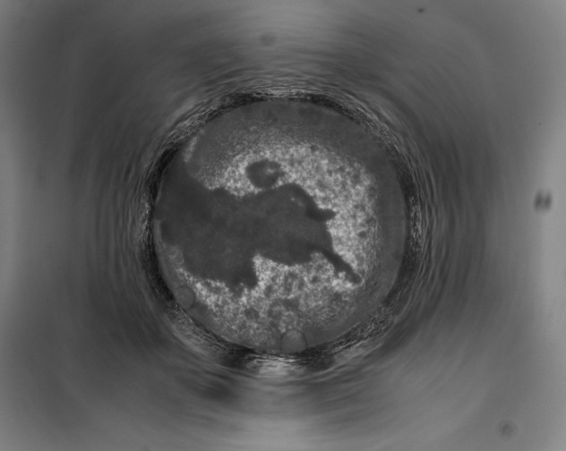 X0000099470507200805301559