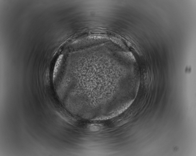 X0000099470508200805301559