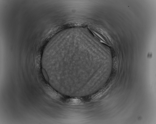 X0000099470509200805301559