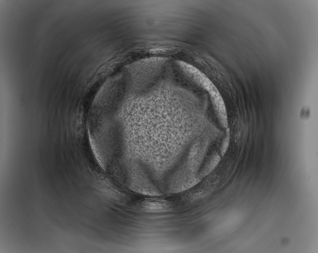 X0000099470510200805301559