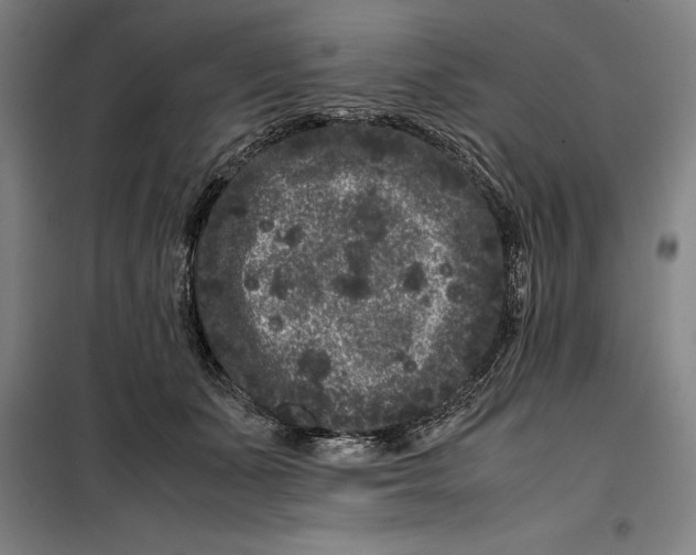 X0000099470511200805301559