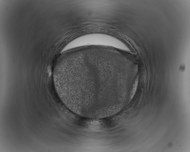 X0000099470513200805301559