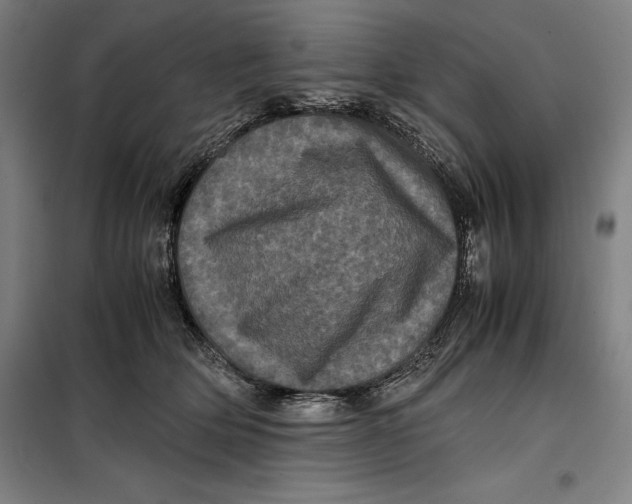 X0000099470514200805301559