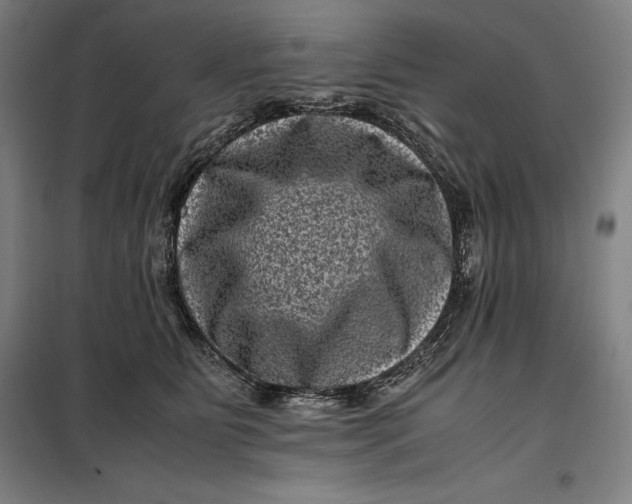 X0000099470515200805301559