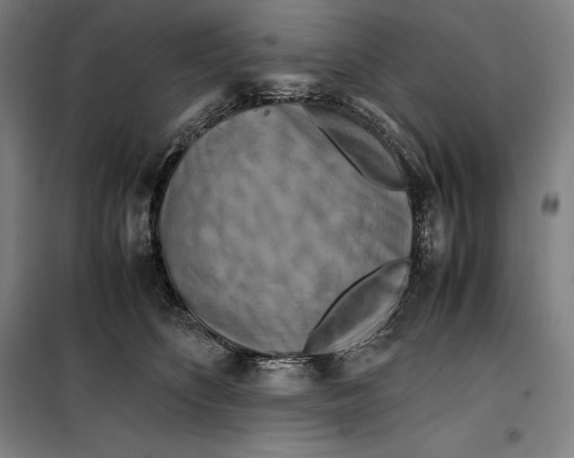 X0000099470516200805301559