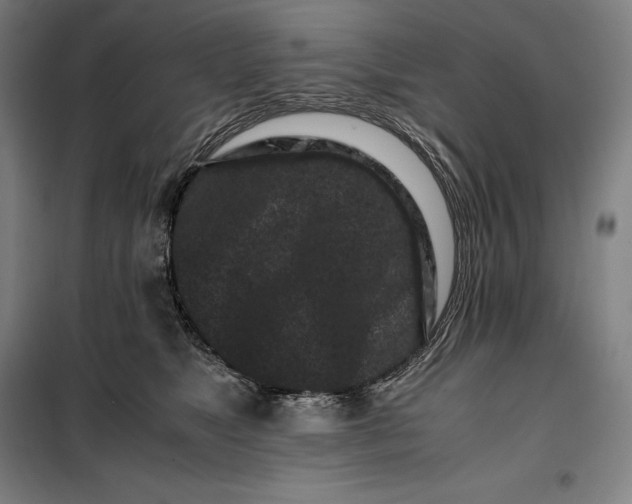 X0000099470517200805301559