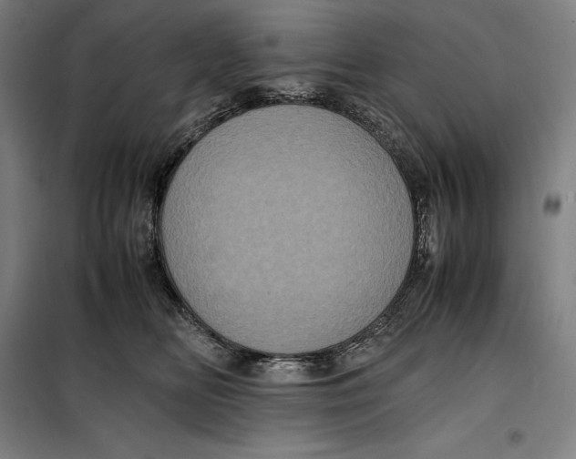 X0000099470518200805301559