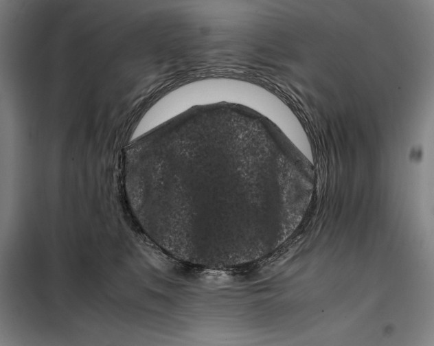 X0000099470519200805301559