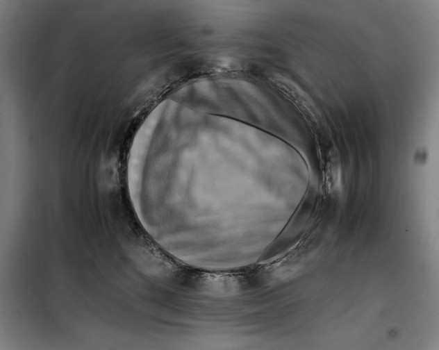 X0000099470520200805301559