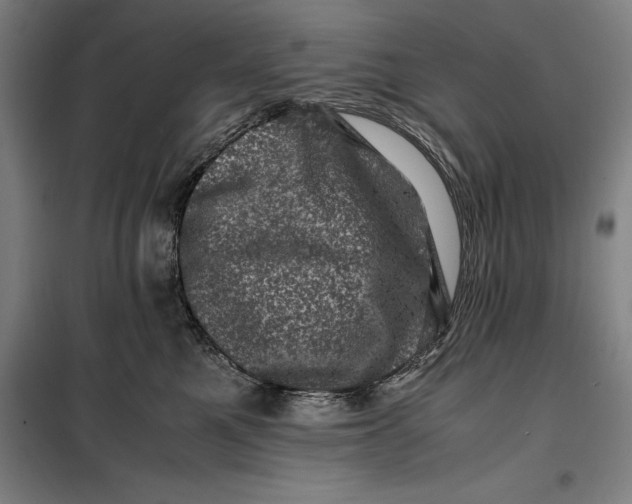 X0000099470521200805301559