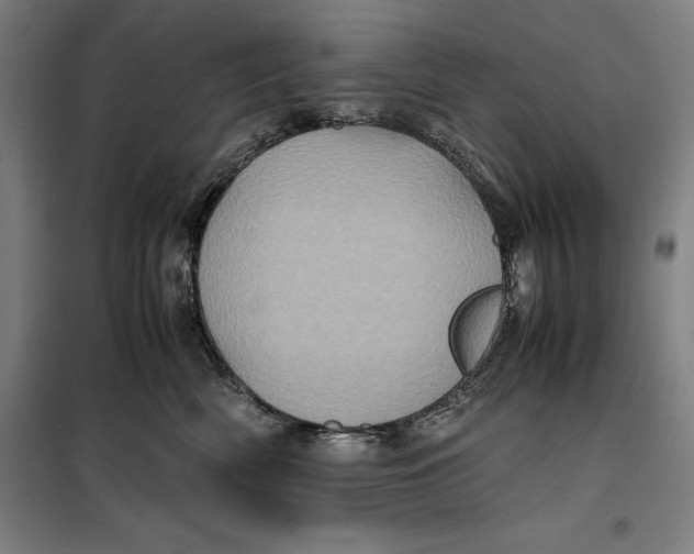 X0000099470522200805301559