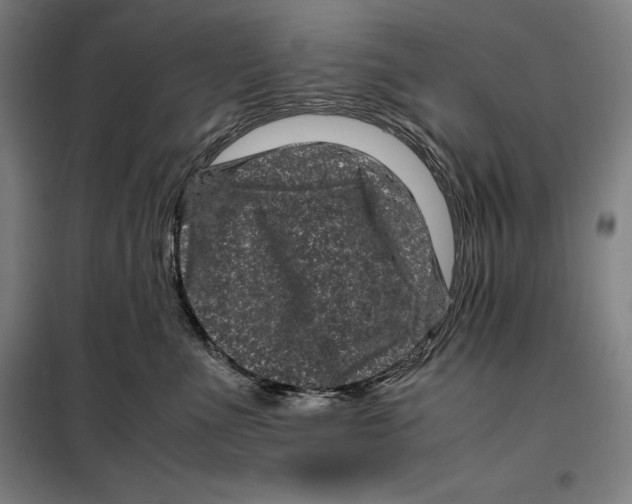 X0000099470523200805301559