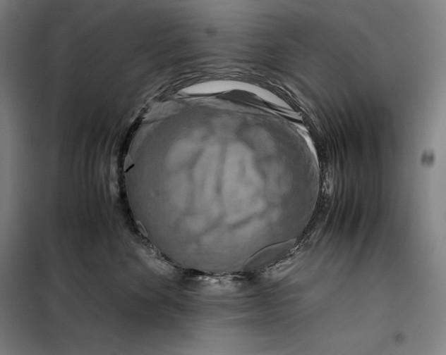 X0000099470524200805301559