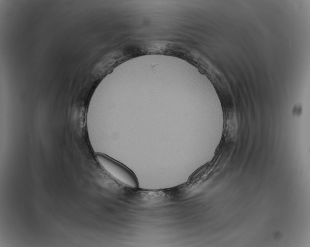 X0000099470525200805301559