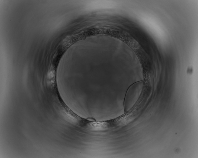 X0000099470526200805301559