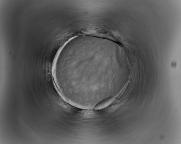 X0000099470528200805301559