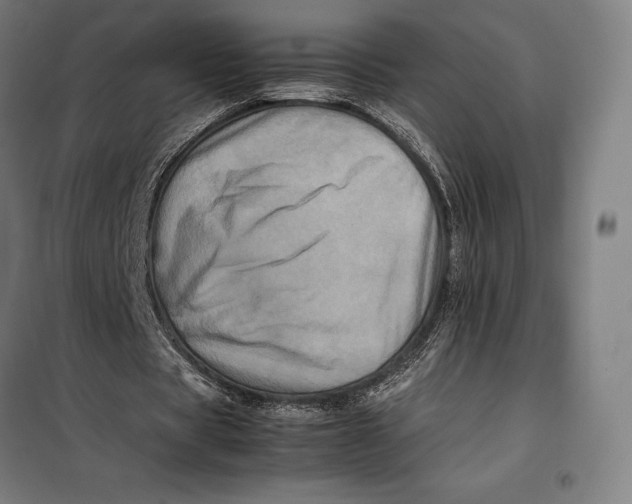 X0000099470529200805301558