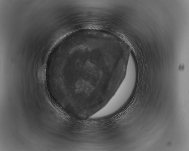 X0000099470531200805301558