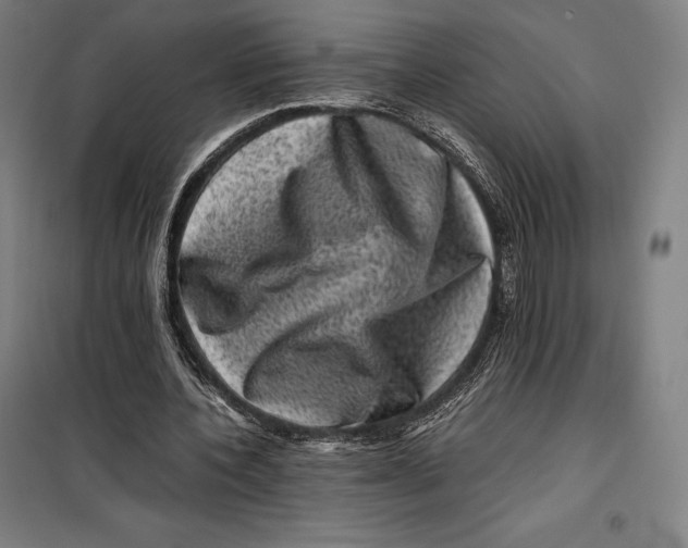 X0000099470532200805301558