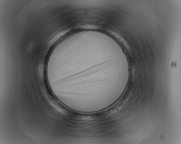 X0000099470533200805301558