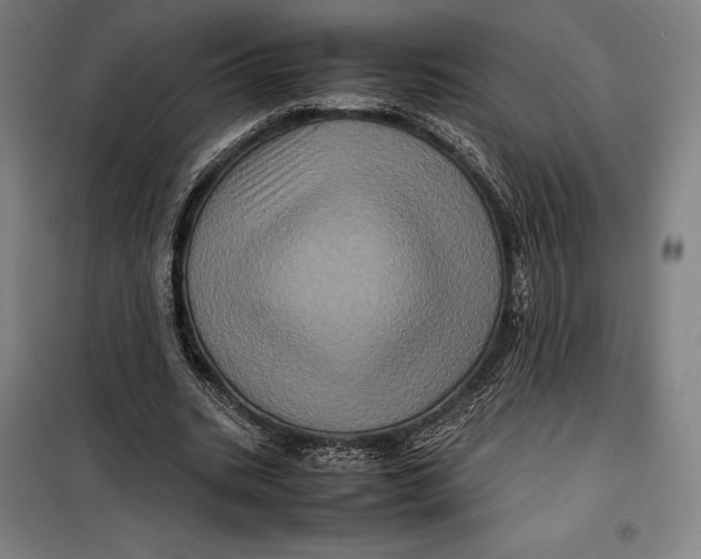 X0000099470535200805301558