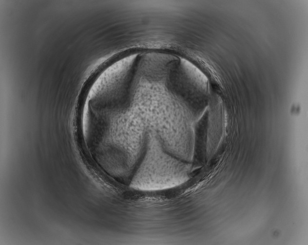 X0000099470536200805301558