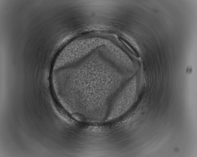 X0000099470538200805301558