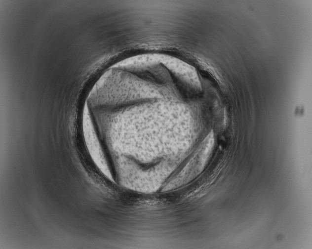 X0000099470540200805301558