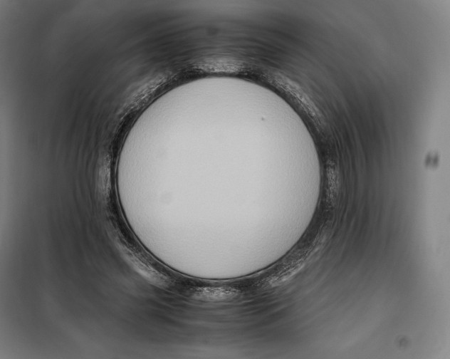 X0000099470541200805301558