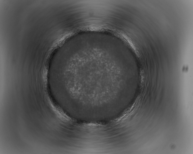 X0000099470542200805301558