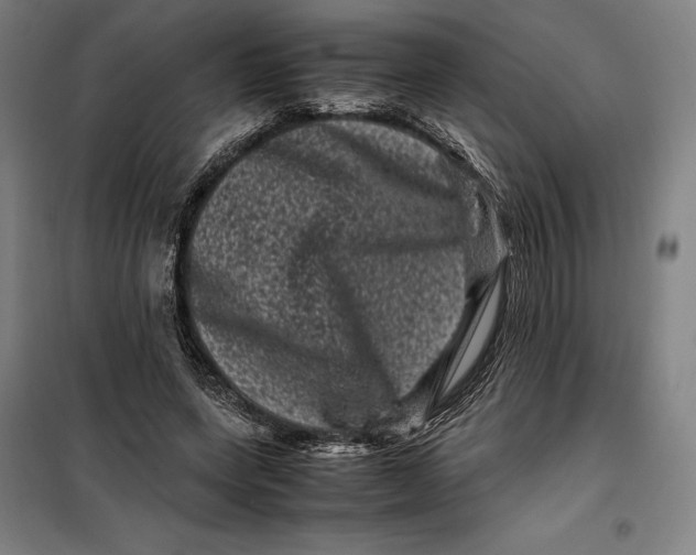 X0000099470543200805301558