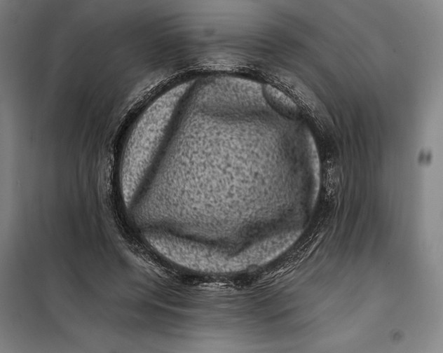 X0000099470544200805301558