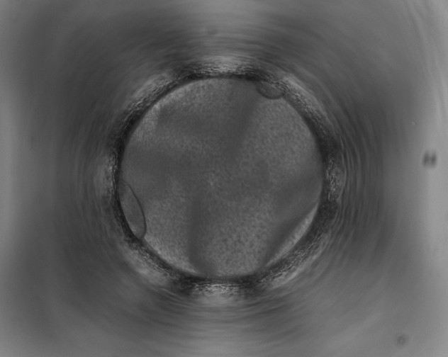 X0000099470546200805301558