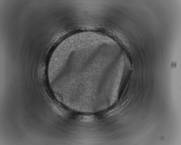 X0000099470548200805301559