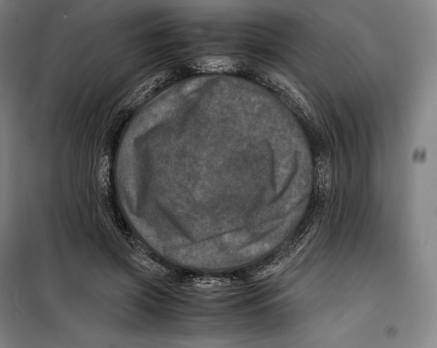 X0000099470549200805301559