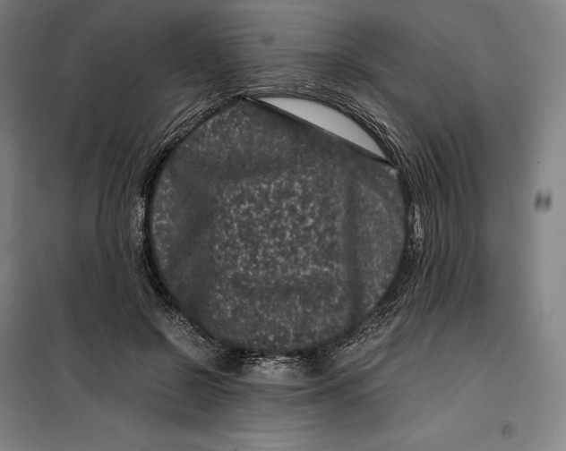 X0000099470550200805301559