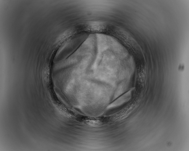 X0000099470552200805301559