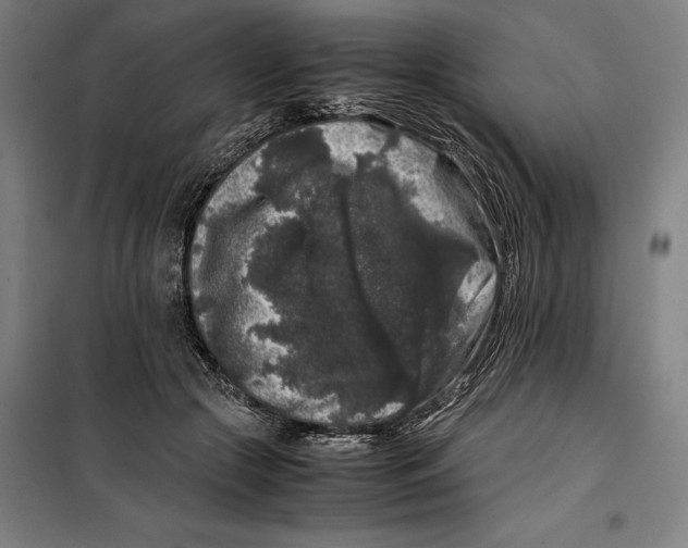 X0000099470553200805301559