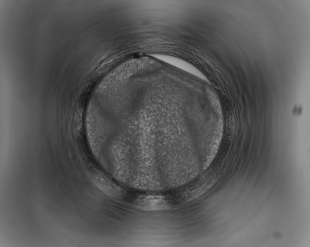 X0000099470554200805301559