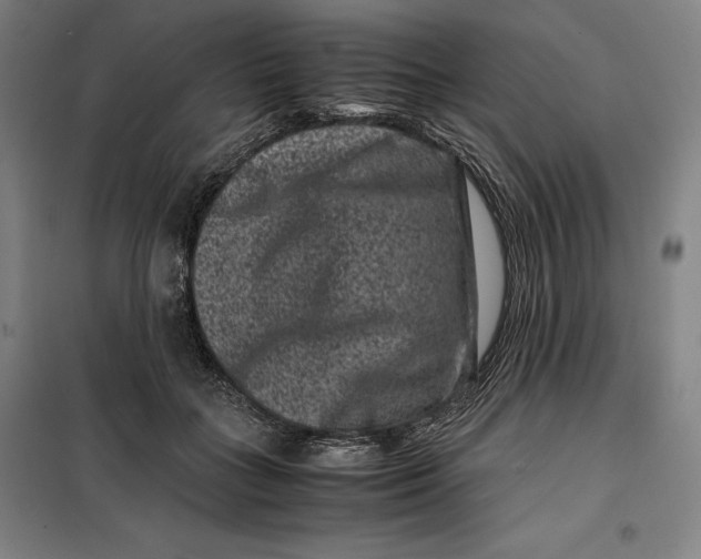 X0000099470555200805301559