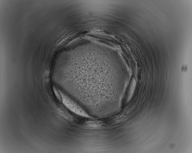 X0000099470556200805301559